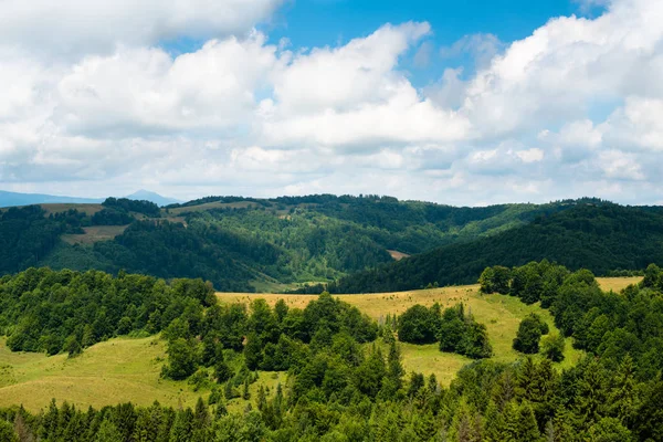 Summer Landscape Ukrainian Carpathian Mountains — Stock Photo, Image