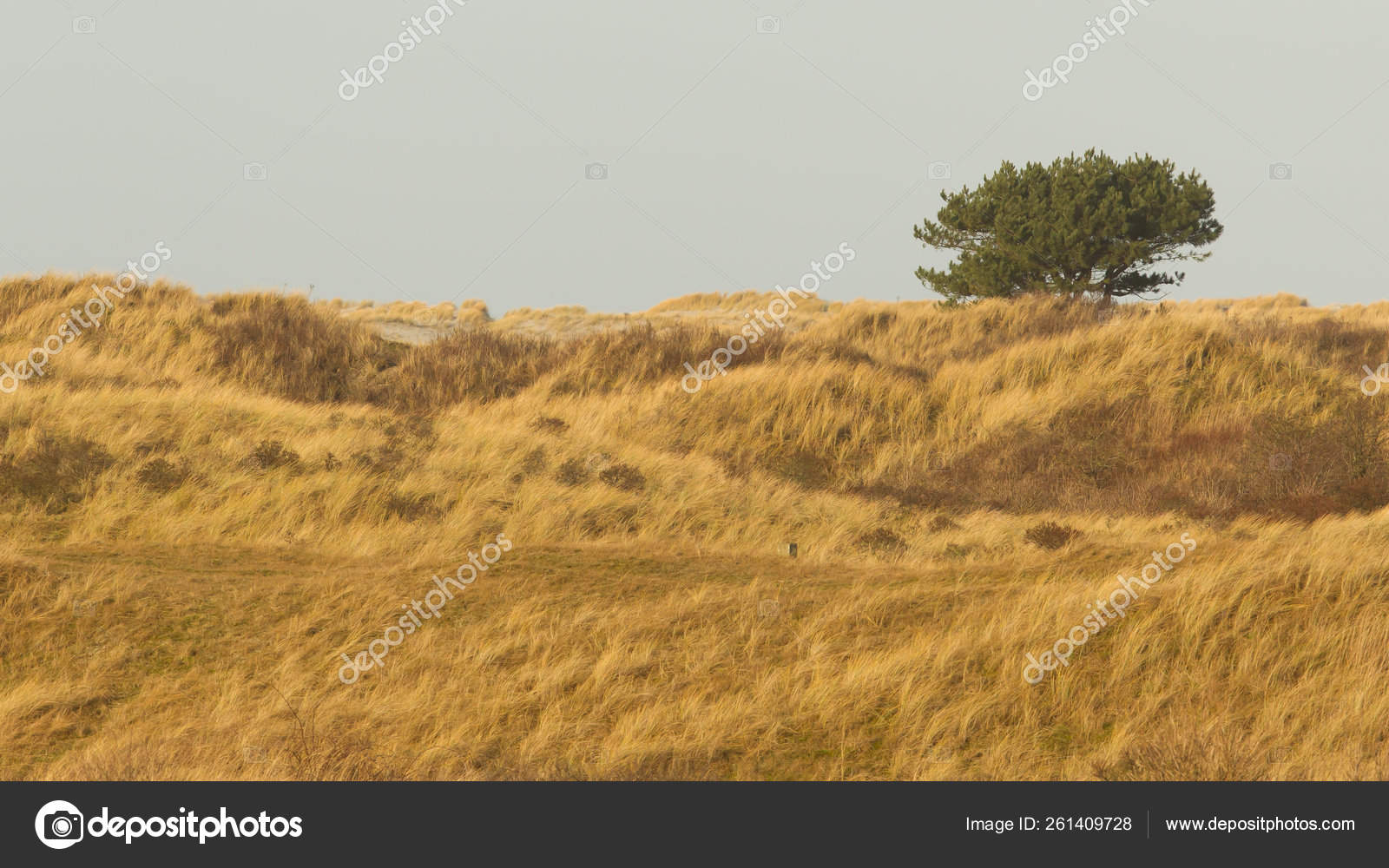 Clowdy Pictures Clowdy Stock Photos Images Depositphotos Clowdy Pictures Clowdy Stock Photos Images Depositphotos