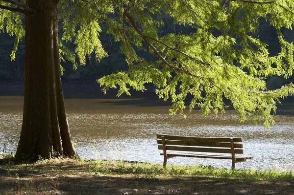 Park Bench Early Fall Water — Stock Photo, Image