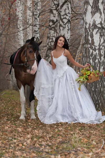 Young Woman Horse Forest — Stock Photo, Image