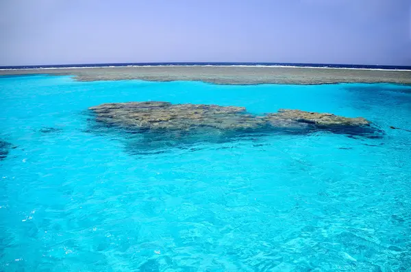 Colorido Arrecife Coral Reserva Natural Egipto — Foto de Stock