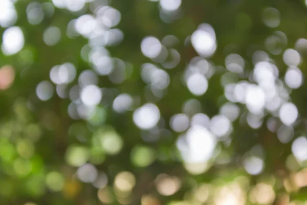Mooie Witte Groene Bokeh Bush Boom Voor Verse Natuurlijke Abstracte — Stockfoto