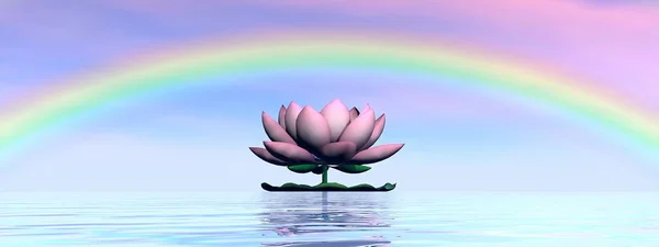 Bellissimo Fiore Loto Rosa Sull Acqua Sotto Arcobaleno Cielo Nuvoloso — Foto Stock