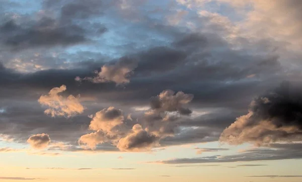 Égbolt Természetes Fényképe Esti Nyári Északi Félteke Nagy Plumose Felhők — Stock Fotó