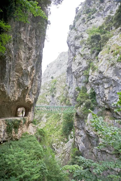 Gorge Rivière Cares Dans Les Asturies Espagne — Photo