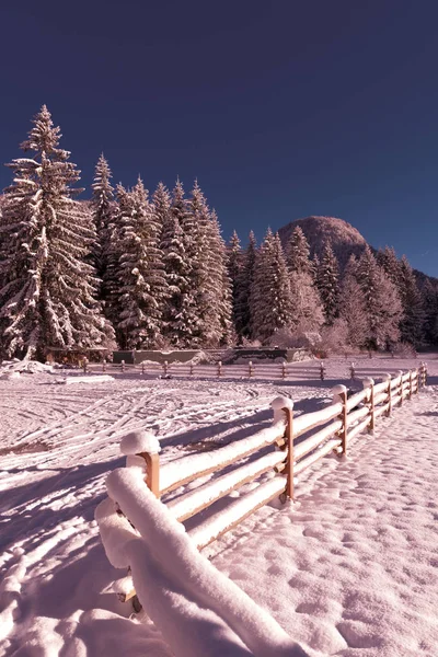 Paisaje Invierno Con Una Cerca Cubierta Nieve — Foto de Stock