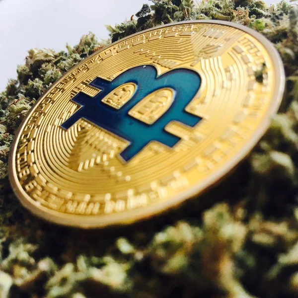 Kryptowährung Bitcoin mit blauem Zeichen auf Cannabis — Stockbild Kryptowährung Bitcoin Mit Blauem Zeichen Auf Cannabis — Stockfoto