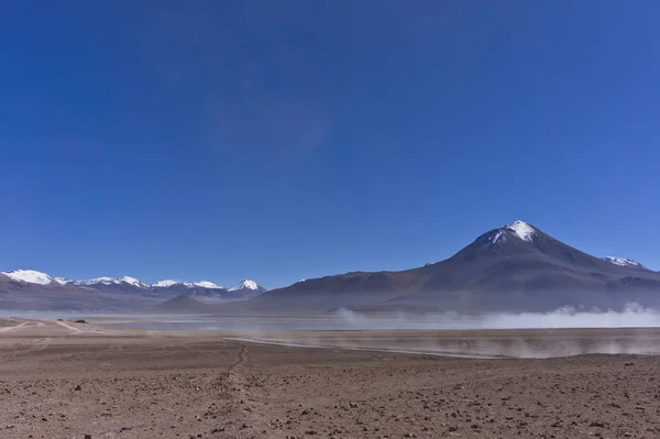 Altiplano Gölleri Bolivya Güney Amerika — Stok fotoğraf