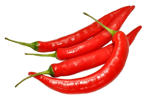 Csoport Fehér Alapon Ragyogó Piros Chili Paprika — Stock Fotó