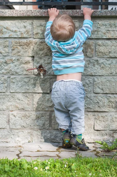 Малыш Сером Синем Подтягивается — стоковое фото