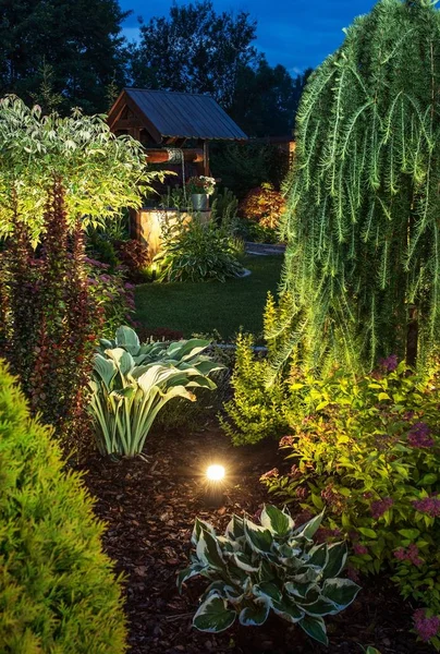 Backyard Garden Illumination Illuminated Garden Night Various Plants Vertical Closeup — Stock Photo, Image