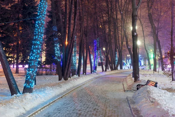 Парк Прикраси Нового Року Центрі Москви Вечірні Фотографії Зимовий Період — стокове фото