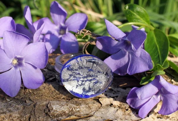 Anillo Artesanal Cristal Azul Plata Con Madera Violeta Primavera Sobre — Foto de Stock