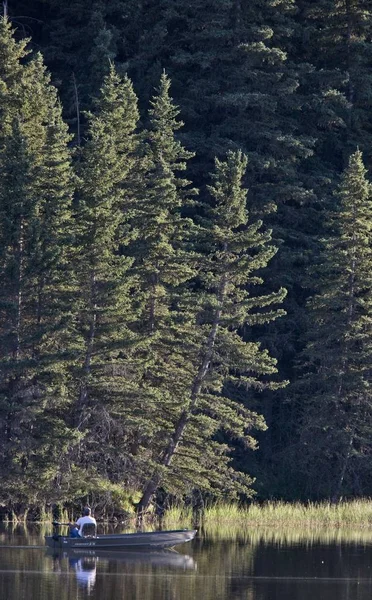 Reesor Lake Cypress Hills Alberta Canada Automne Automne — Photo