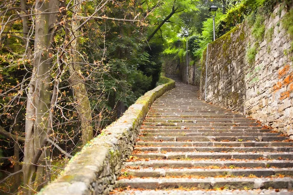 Παλιά Σκάλα Στο Άλσος Bergamo Alta Ιταλία — Φωτογραφία Αρχείου