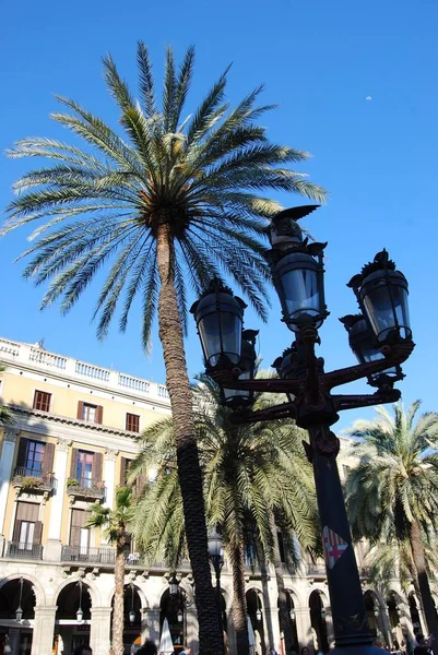 Linterna Palmeras Plaza Real Barcelona — Foto de Stock