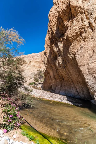 Jordan 흐르는 — 스톡 사진