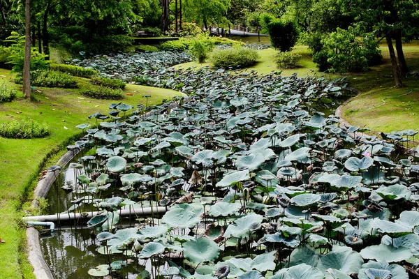 Jardín Loto Nenúfar Canal — Foto de Stock