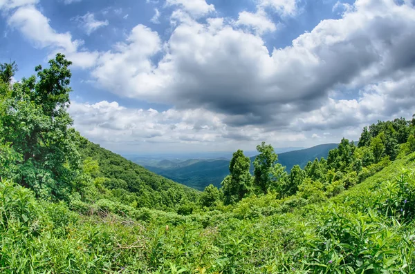 Blue Ridge Parkway Západní Virginii — Stock fotografie