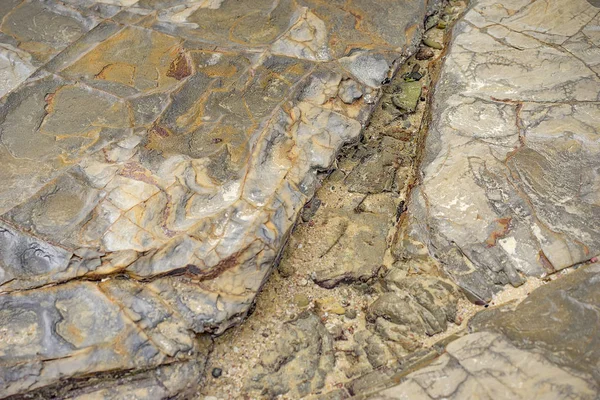 Textura Rochosa Água Salgada Formação Plataforma Rocha Plana Costa — Fotografia de Stock