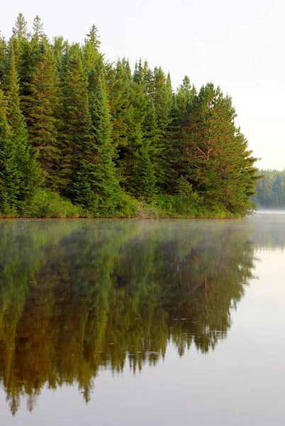 Reflet Des Arbres Feuilles Persistantes Dans Lac Pog Dans Parc — Photo