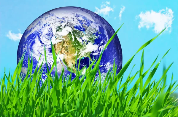 Earth Globe Grönt Gräs Konceptuell — Stockfoto