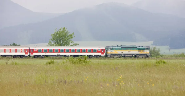 Passenger Train Strazovske Vrchy Slovakia — Stock Photo, Image