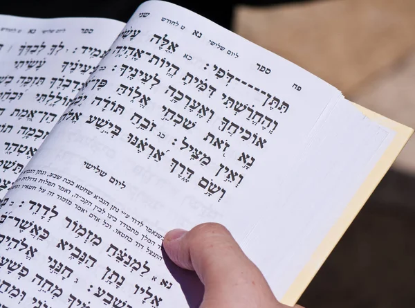 Άνθρωπος Διαβάζει Εβραϊκό Ιερό Βιβλίο Στην Ιερουσαλήμ — Φωτογραφία Αρχείου