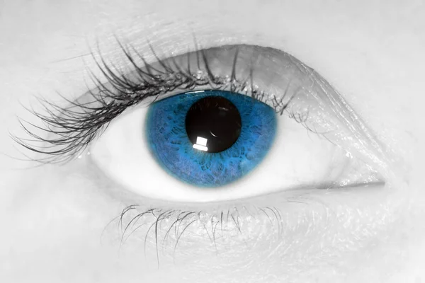Belleza Femenina Ojos Azules Cerca Mirando Cámara — Foto de Stock