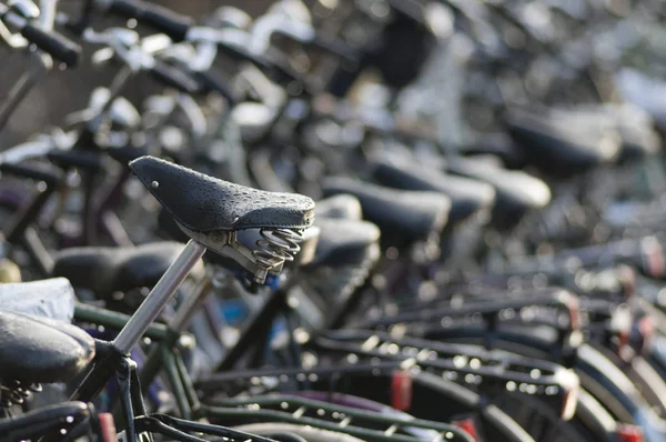 Muchas Bicicletas Aire Libre Bajo Lluvia — Foto de Stock