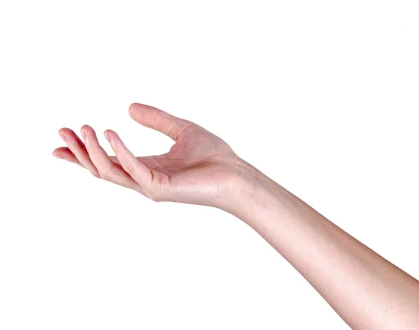 Vrouw Hand Geïsoleerd Witte Achtergrond — Stockfoto