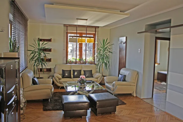 Stylish Cozy Living Room Interior — Stock Photo, Image