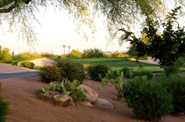 Campo Golf Desierto Arizona Con Montañas Bajo Sol Tarde — Foto de Stock