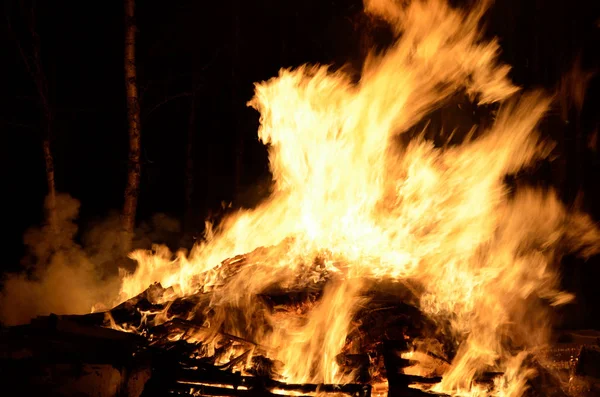 Massief Houtvuur Winter Nacht — Stockfoto