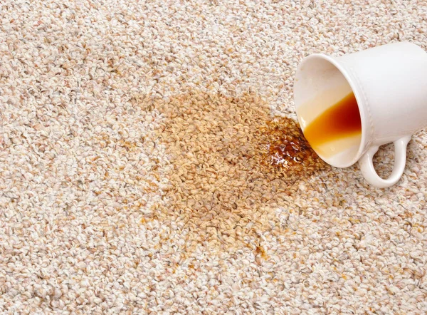 Spilled Coffee Carpet — Stock Photo, Image