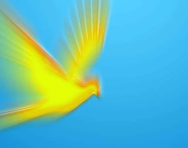 파란색 배경에 노란색 비둘기를 — 스톡 사진