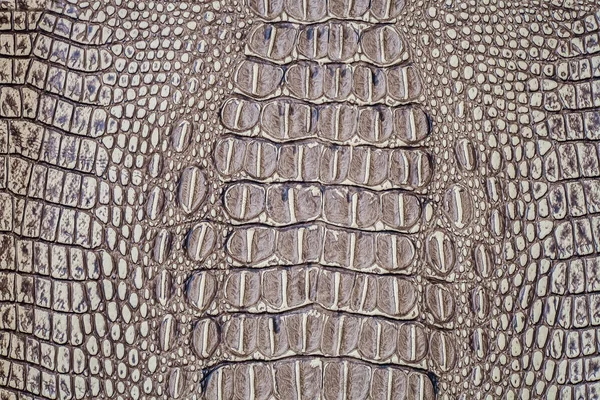Textura Pele Crocodilo Natural Sem Costura — Fotografia de Stock