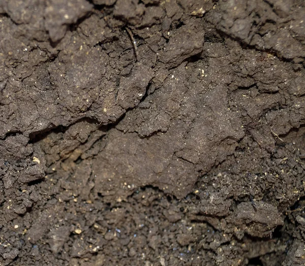 Текстура Фона Черноземная Почва — стоковое фото