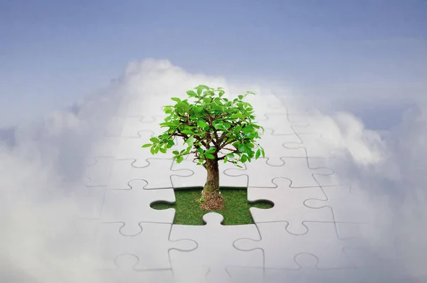 Small Tree Growing Jigsaw Sky Symbolising Growth New Ideas Discovering — Stock Photo, Image