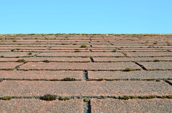 Régi Shingle Tető Benőtt Moss Blue Sky Háttér — Stock Fotó