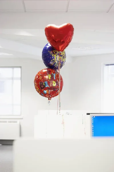 Feliz Cumpleaños Globos Office Cubicle — Foto de Stock
