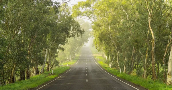 Дорога Adelaide Hills Південна Австралія — стокове фото