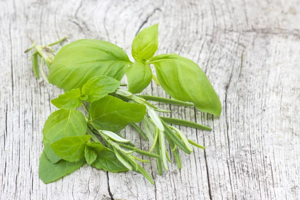 Close Uitzicht Heerlijke Groene Verse Kruiden — Stockfoto