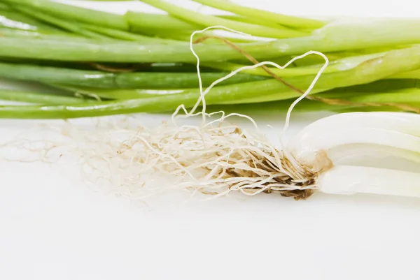 Voorjaarsuitjes Witte Achtergrond — Stockfoto