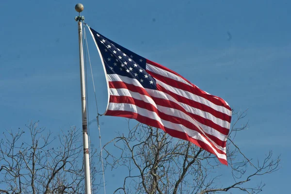 Μια Ενιαία Αμερικάνικη Σημαία Στέκεται Ψηλά Ανάμεσα Ένα Χειμερινό Γαλάζιο — Φωτογραφία Αρχείου