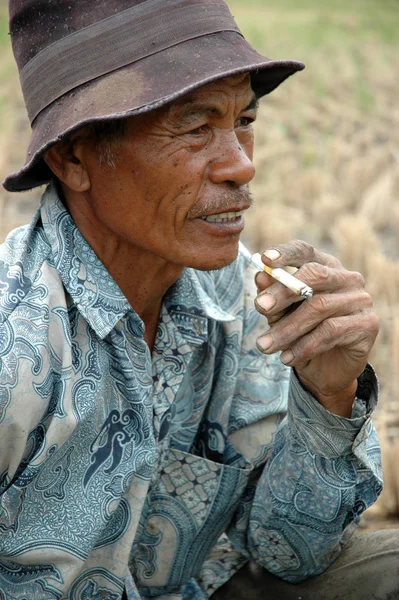 Vecchio Agricoltore Ottenere Fumo Dopo Aratura Ricefield — Foto Stock