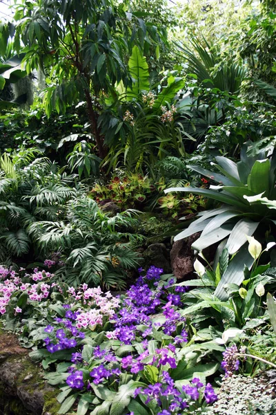 Lugn Oas Botaniska Trädgården Sensommardag — Stockfoto