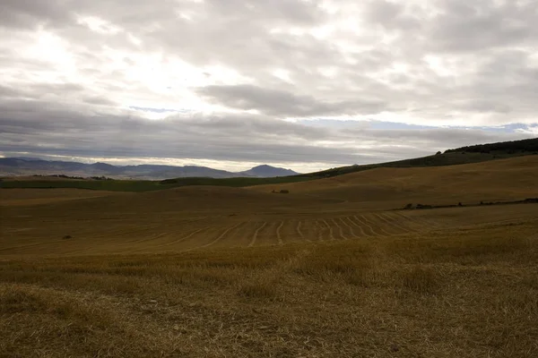 Vista Sulla Campagna Spagnola Estate — Foto Stock