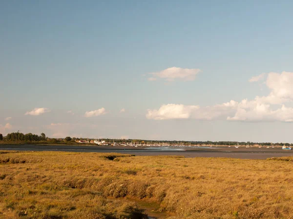 Sunny Landscape Flat Ground Maldon Black Water Distance Masts Moored — Stock Photo, Image