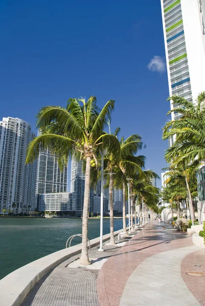 Miami Beach Coastline Florida — Foto de Stock